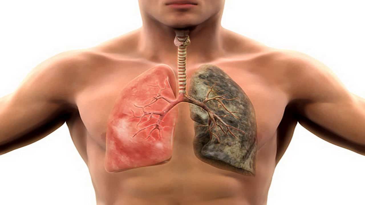 Consejos para tener unos pulmones sanos | Diario 2001