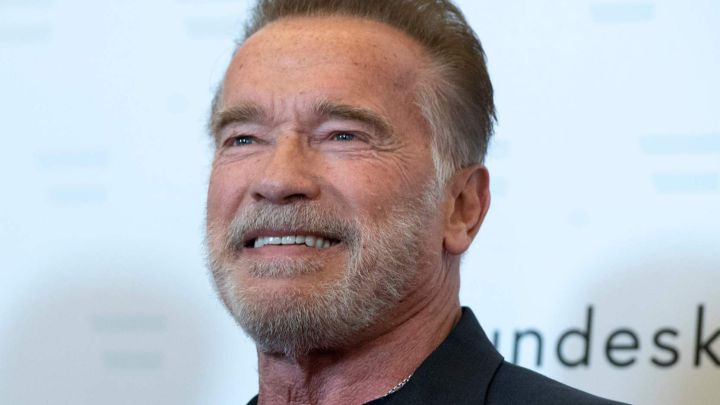 Arnold Schwarzenegger ficha por Netflix para una serie de espías