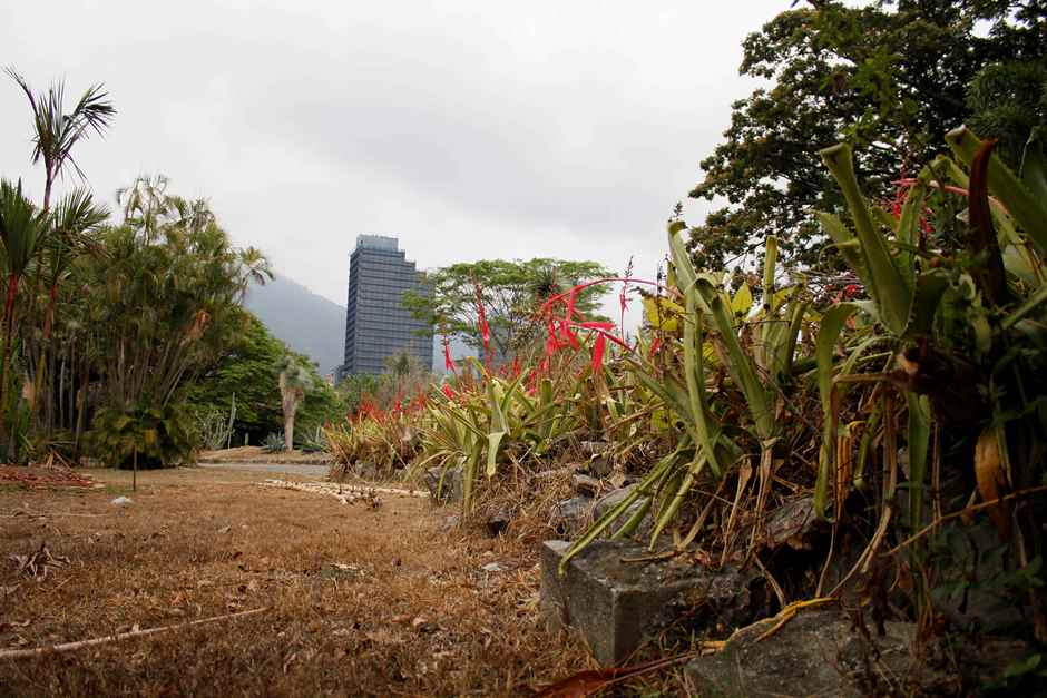 Ministerio Público priva de libertad a tres hombres por presunta invasión en Jardín Botánico de la UCV