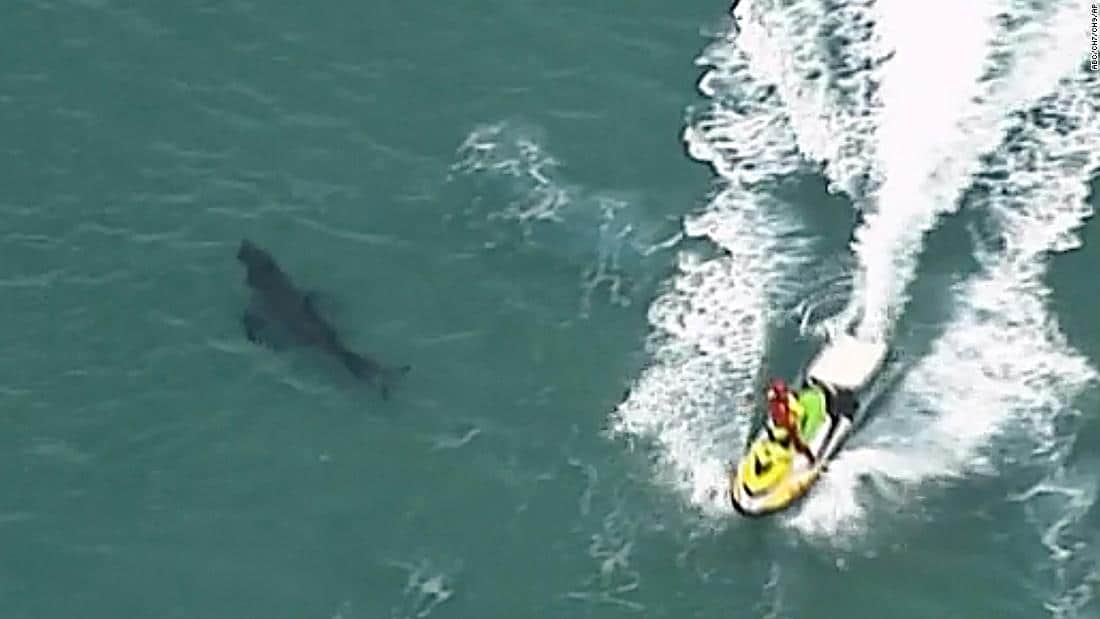 Surfista muere tras el ataque de un tiburón en el este de Australia