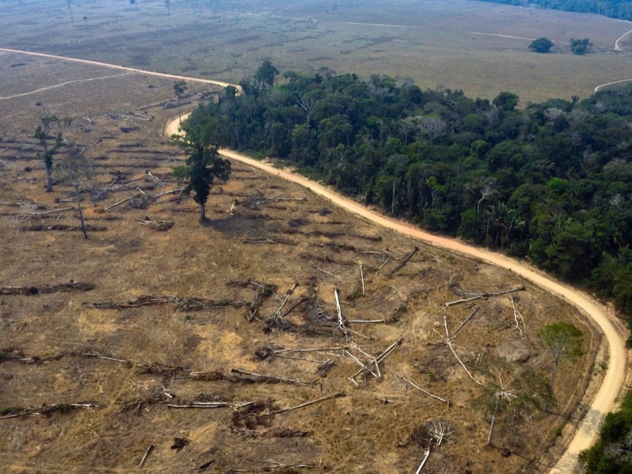 Deforestación en la Amazonia brasileña alcanza nivel récord