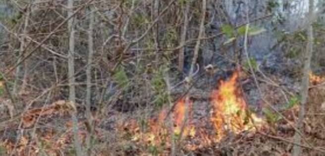 Bolivia presenta plan para evitar incendios forestales en áreas sensibles
