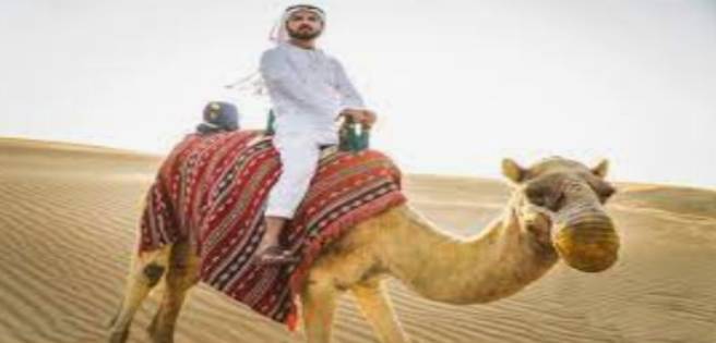 Montar a camello ya no es un deporte exclusivo para hombres en Emiratos | Diario 2001