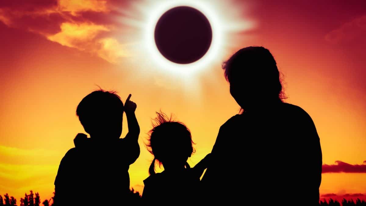 Efectos del eclipse de sol en las personas | Diario 2001