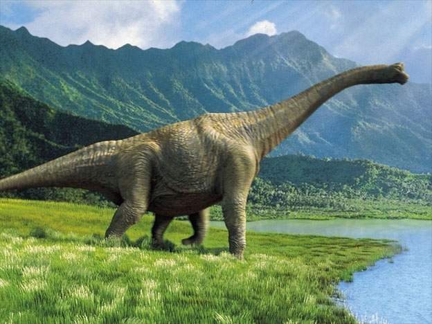Identifican una nueva especie de dinosaurio como más grande de Australia