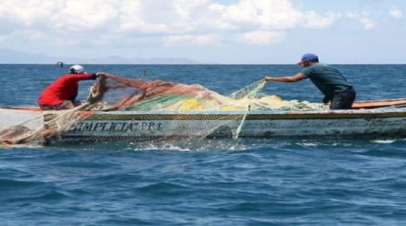 Pescadores de la Guaira capturan a un tiburón (+video)