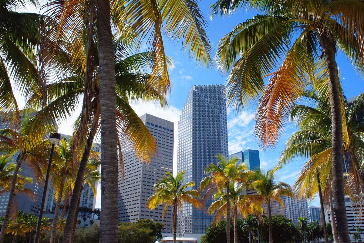 La ciudad de Miami se convertirá en la capital del Bitcoin