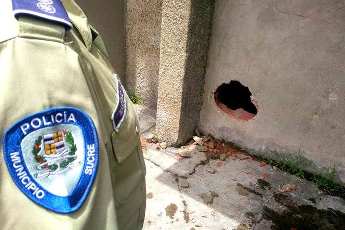 Perrito rescatado de una bolsa de escombros ahora es parte de la Policía de Sucre (+Video)