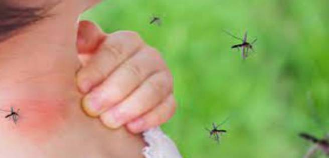 El dengue: un enemigo al acecho de los niños de América durante la pandemia
