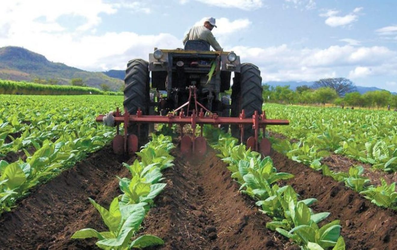 Piden apoyo para mejorar el sector agrícola en Venezuela