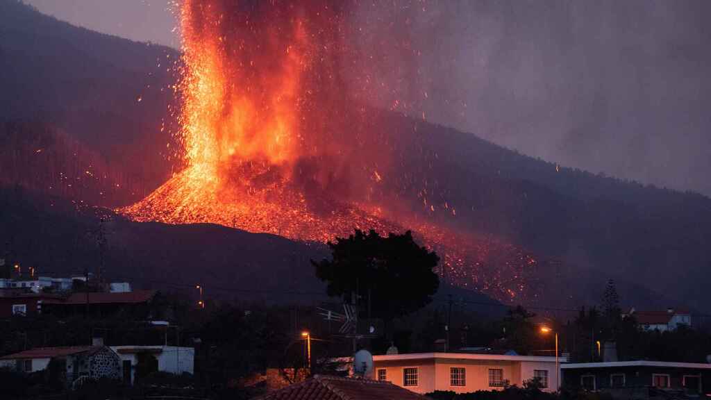 Tratarán de rescatar a perros cercados por lava en La Palma