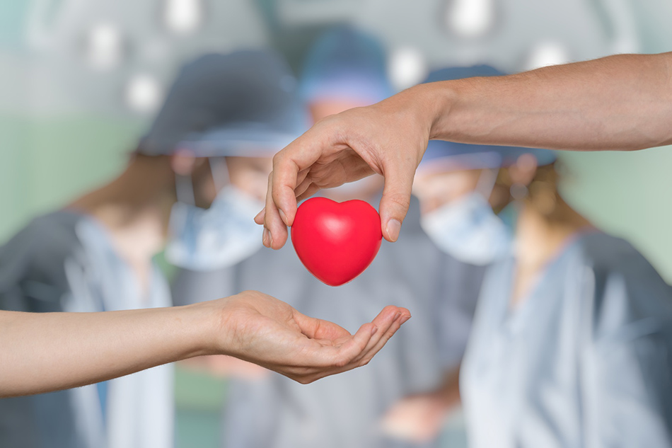 Se celebra el Día Mundial de la Donación de Órganos