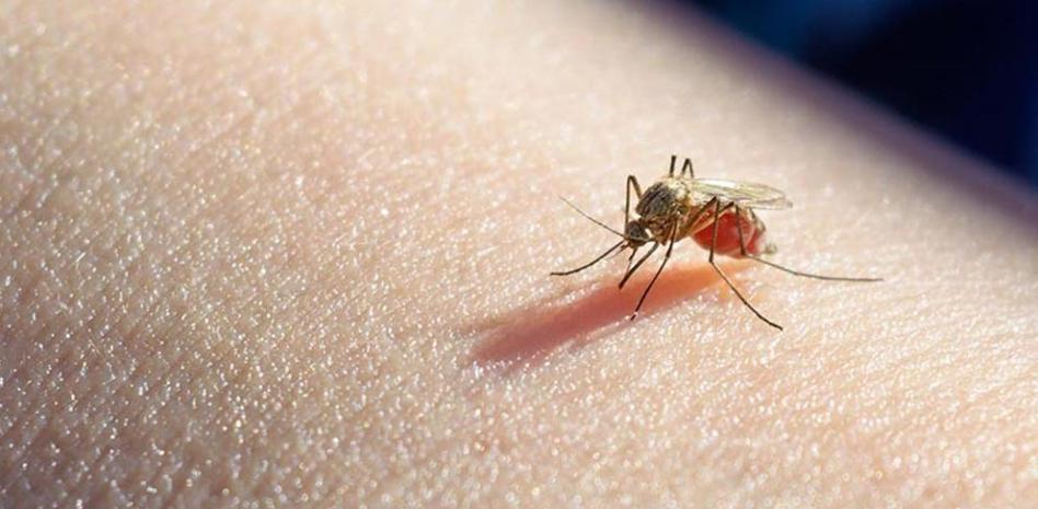 La malaria también preocupó a los venezolanos en 2021