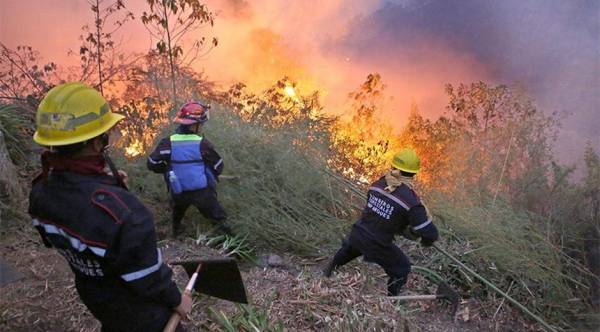 Incendios forestales afectan al Parque Nacional Henri Pittier