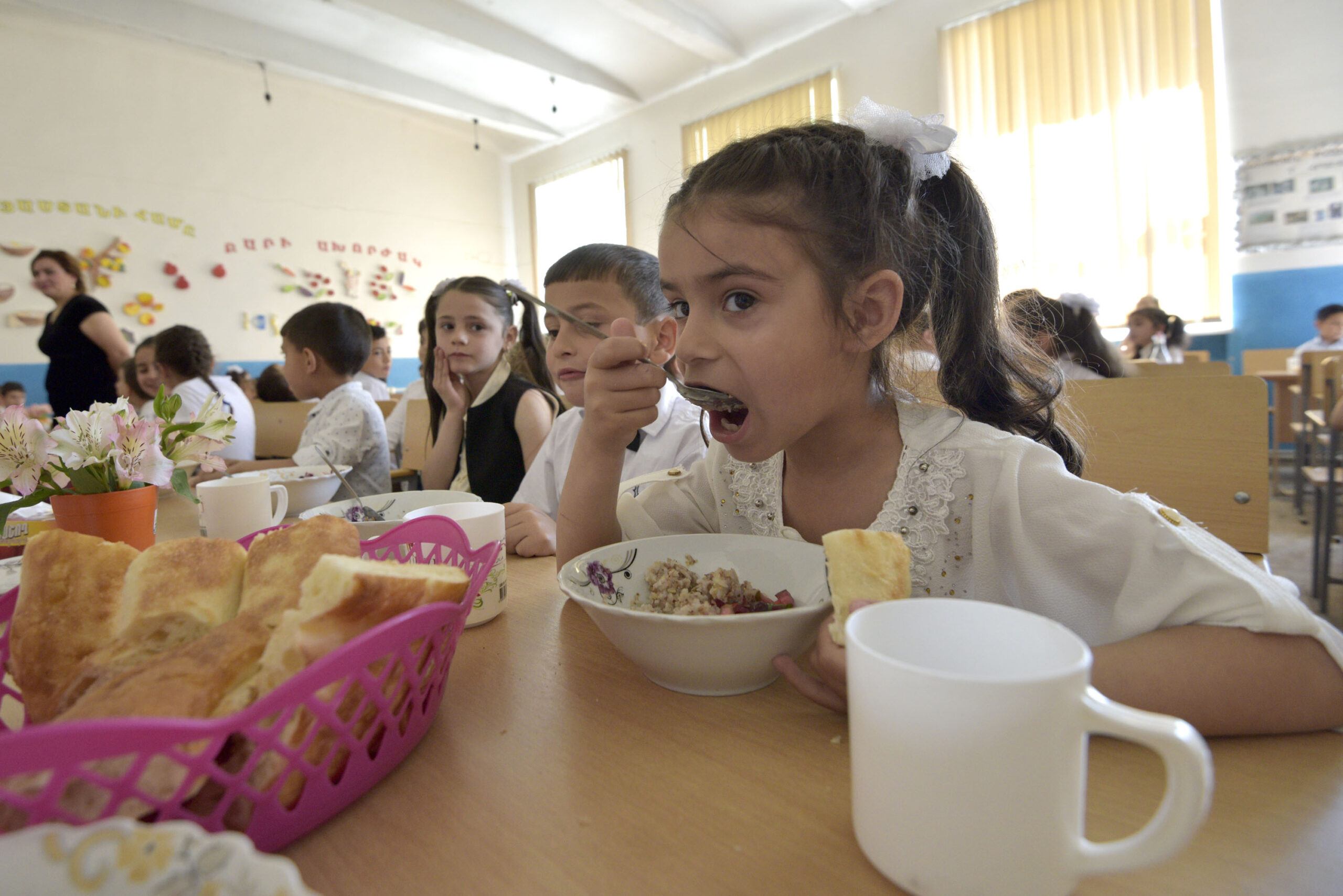 ¿Qué ocurre con la Alimentación Escolar?