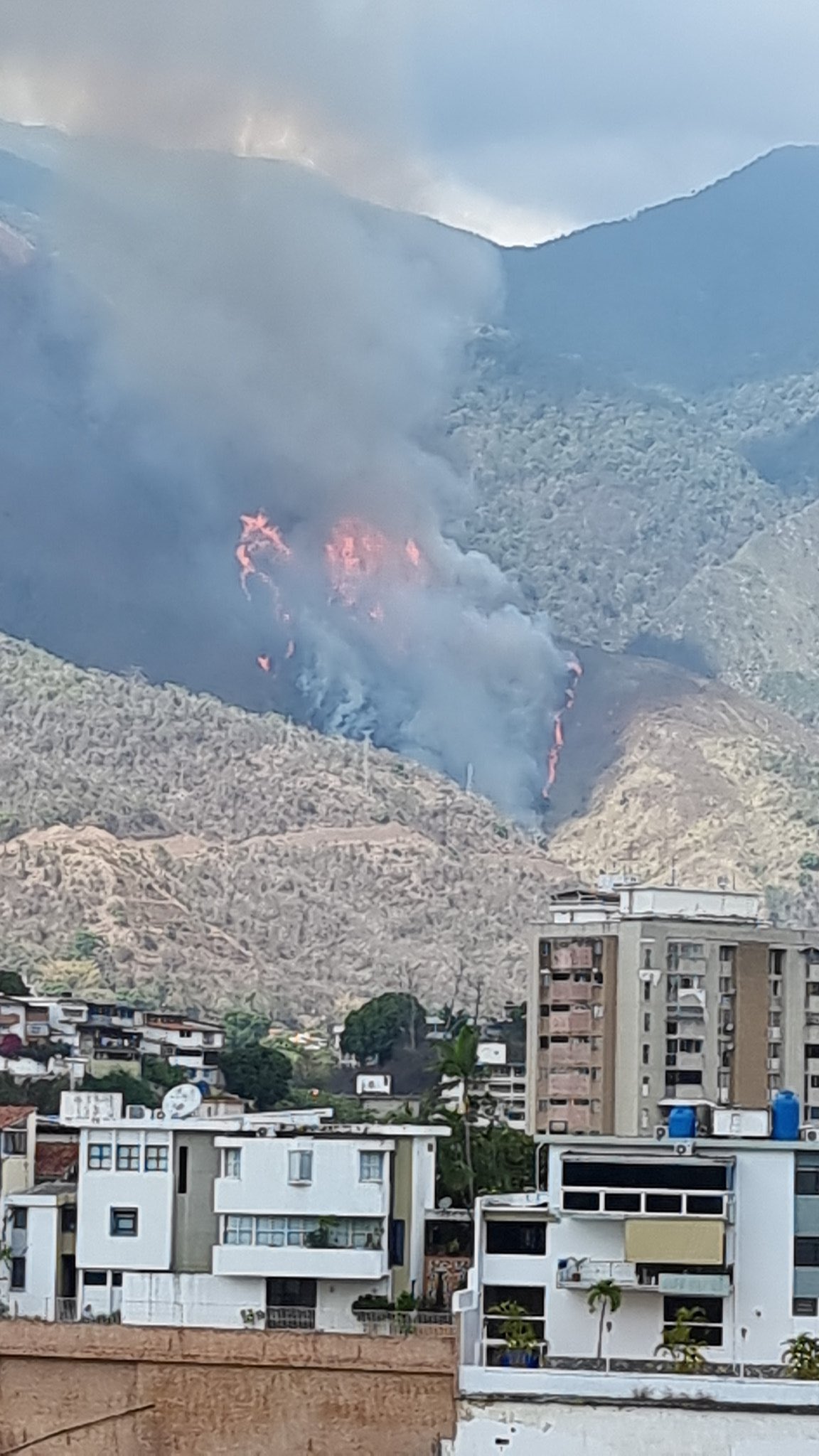 Reportan nuevamente incendio forestal en el Ávila (+Video)
