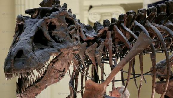 Nueva York | Subastarán un esqueleto de dinosaurio (+Detalles)