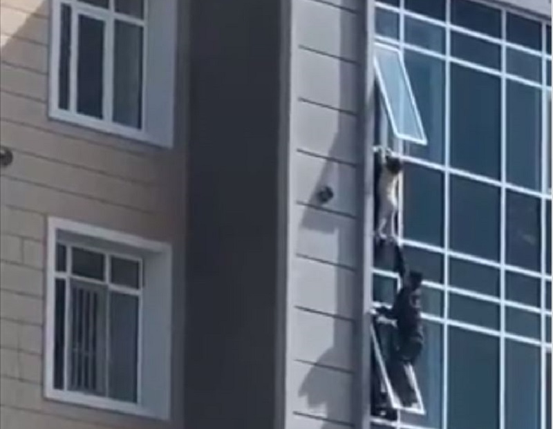 Hombre salva a niña de caer desde un octavo piso en Kazajistán