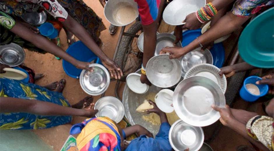 ONU: más de 800 millones de personas sufren hambre en el mundo