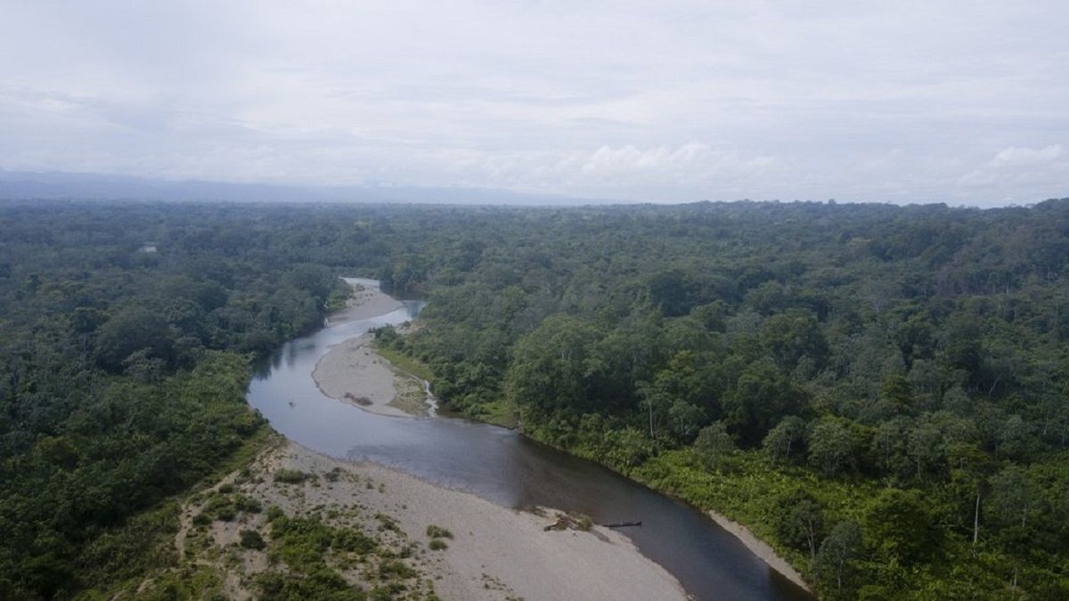 ¿Cómo es el proceso para buscar a persona desaparecida selva Darién?