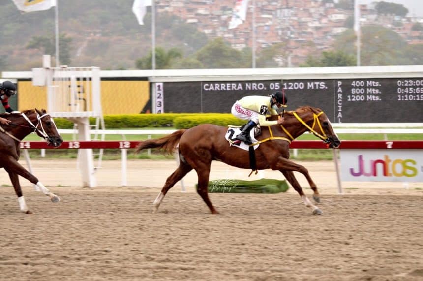 My Titico Mate viene por lo suyo en el Clásico Nuestra Señora de la Chiquinquirá