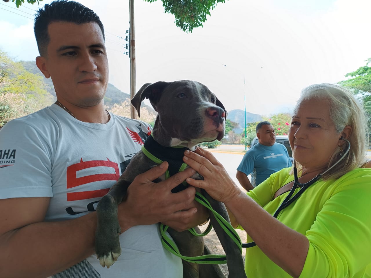 Misión Nevado tendrá jornada de atención veterinaria en estos sectores de Caracas y Miranda