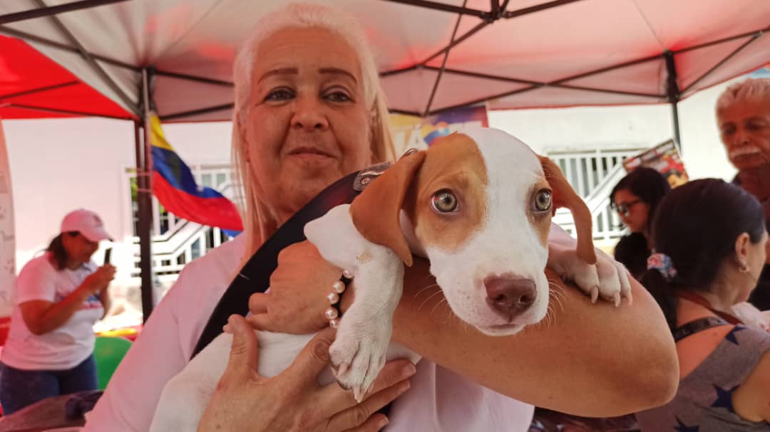 Misión Nevado: Vacunación para perros y gatos este domingo en Caracas (+Detalles)