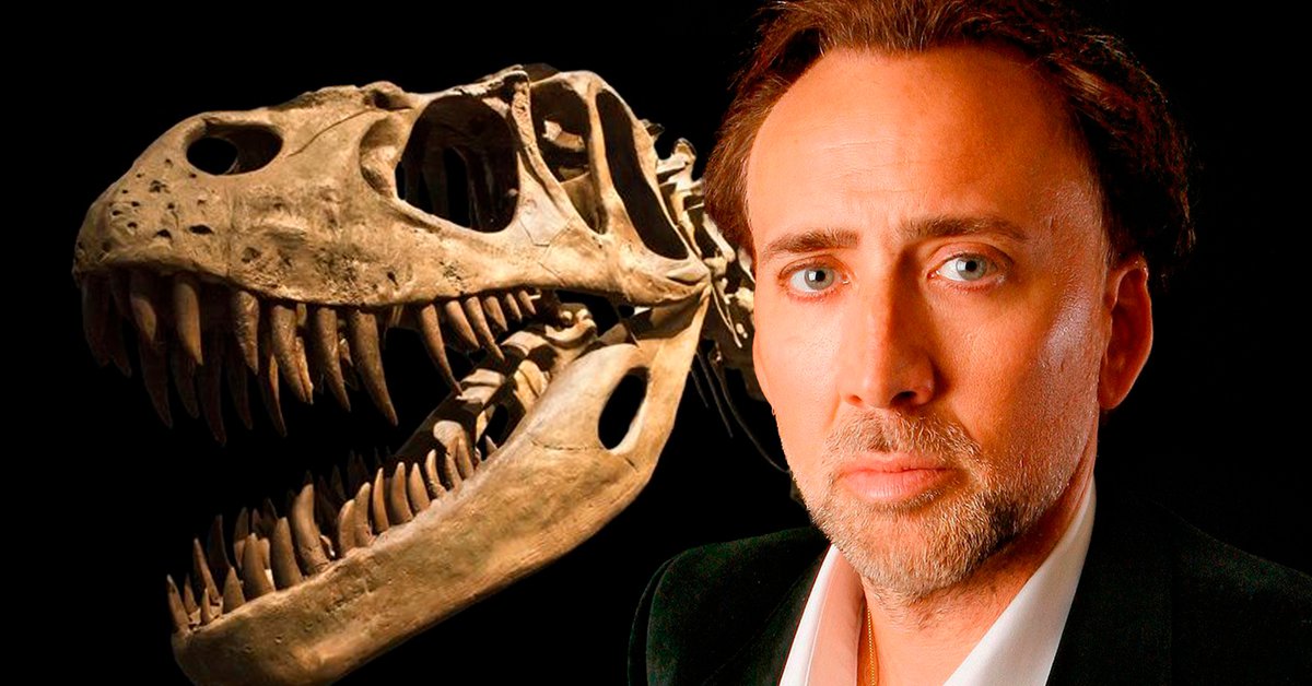 Nicolas Cage pagó una fortuna por este objeto y se lo quitó el Estado de Mongolia