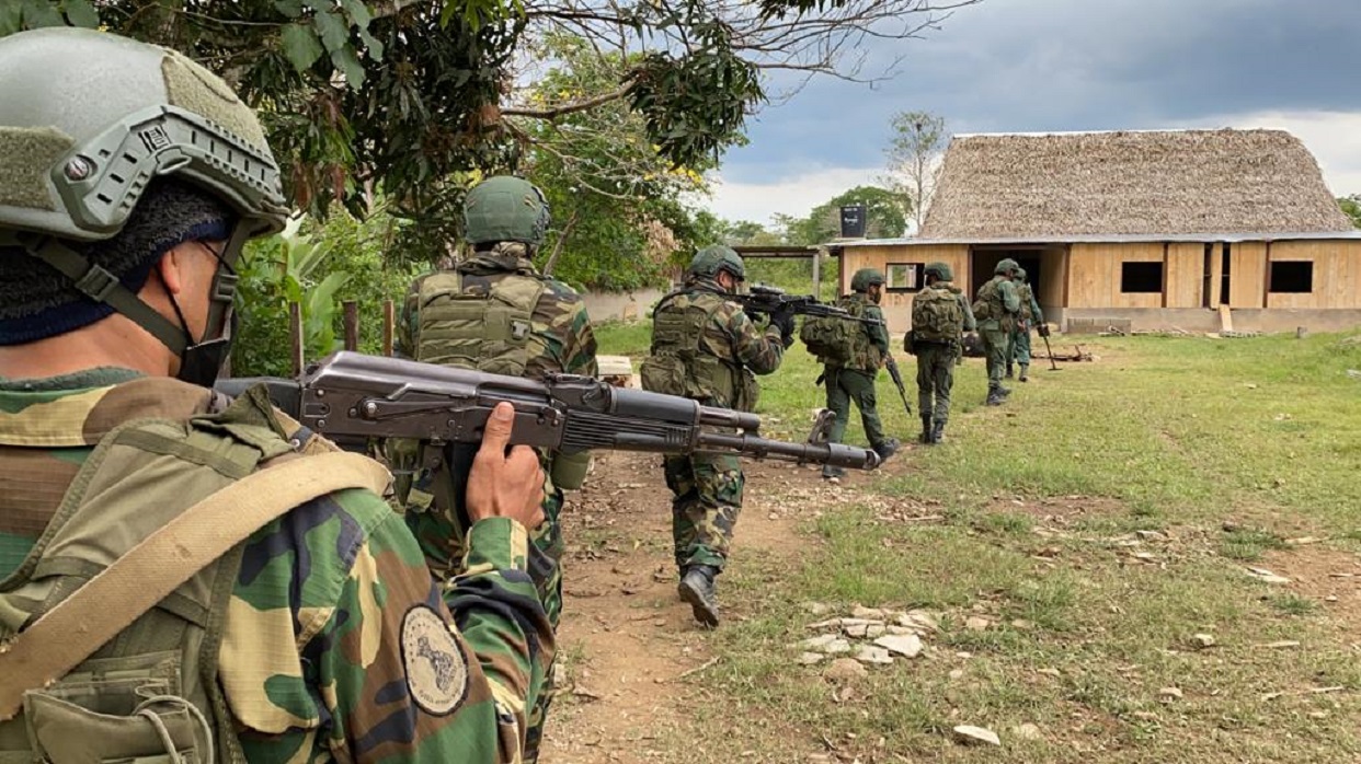 FANB destruye campamentos vinculados al narcotráfico (+Detalles)