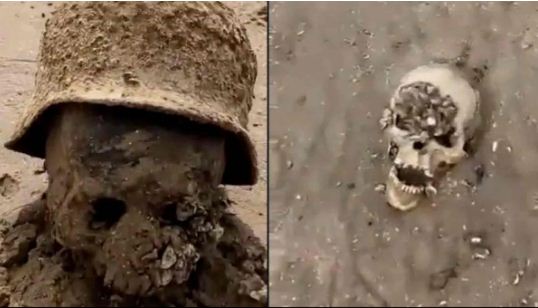 ¡De terror! Descubrieron huesos y cráneos humanos: Aparecieron tras una inundación