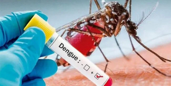 Atención | OMS llama a prepararse para posibles brotes de dengue