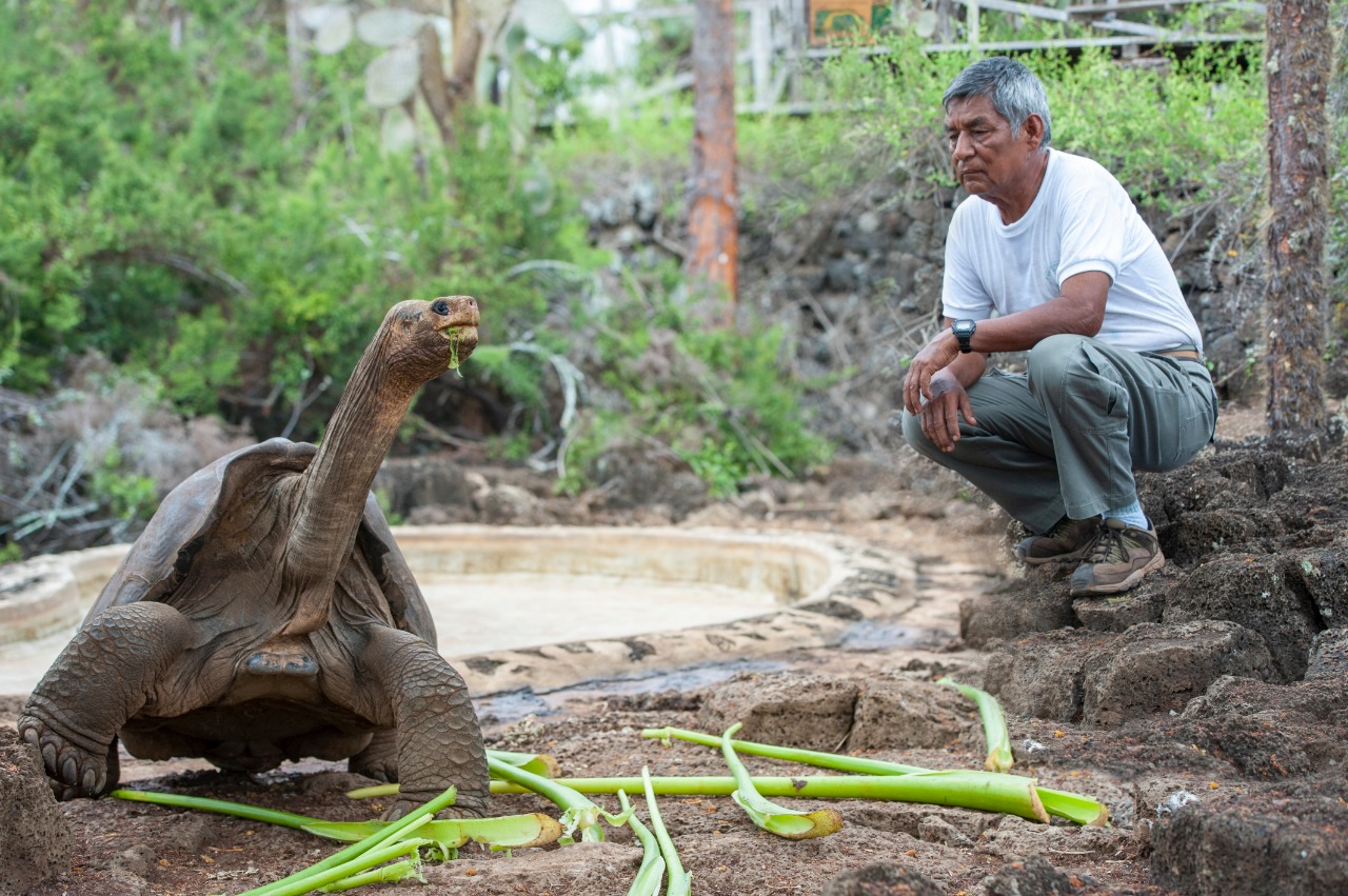 ¡Merecido homenaje! Esto harán con «Solitario George», la última tortuga Galápagos de su tipo | Diario 2001