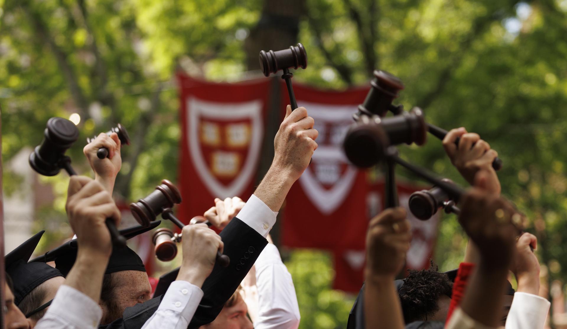 Denuncia: ¿Harvard no quiere a los latinos entre sus alumnos?