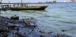 Sepa cómo va la recuperación del Lago de Maracaibo