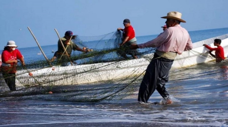 Entérese de la acción que realizará el Ministerio de Pesca y Agricultura en favor de los pescadores