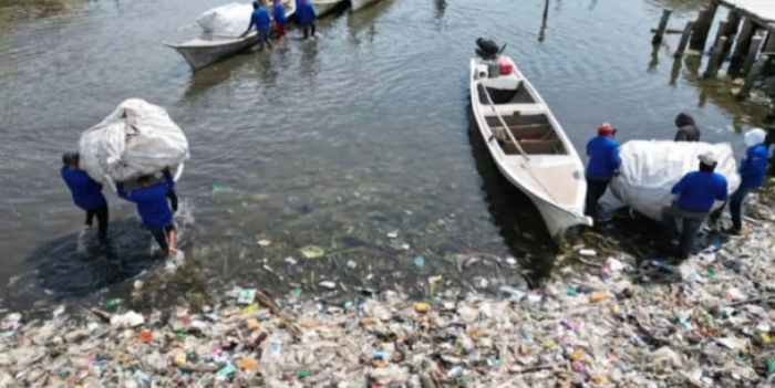 Conozca cuántos metros cúbicos de desechos se recolectaron en playa zuliana