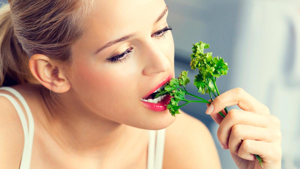 El cilantro y sus propiedades medicinales