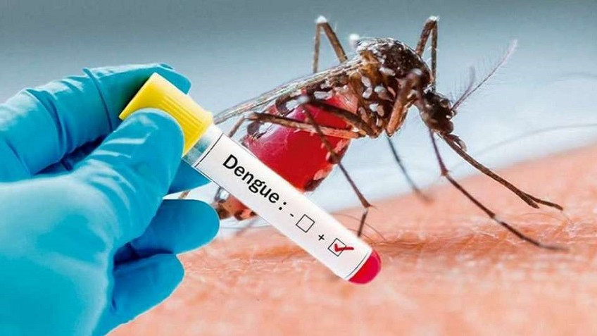 Estos son los síntomas que produce el dengue