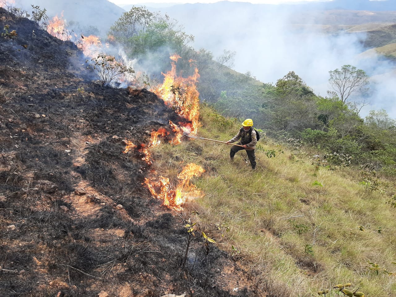 Más de 20 incendios forestales alertan a Bolivia (+Detalles) | Diario 2001