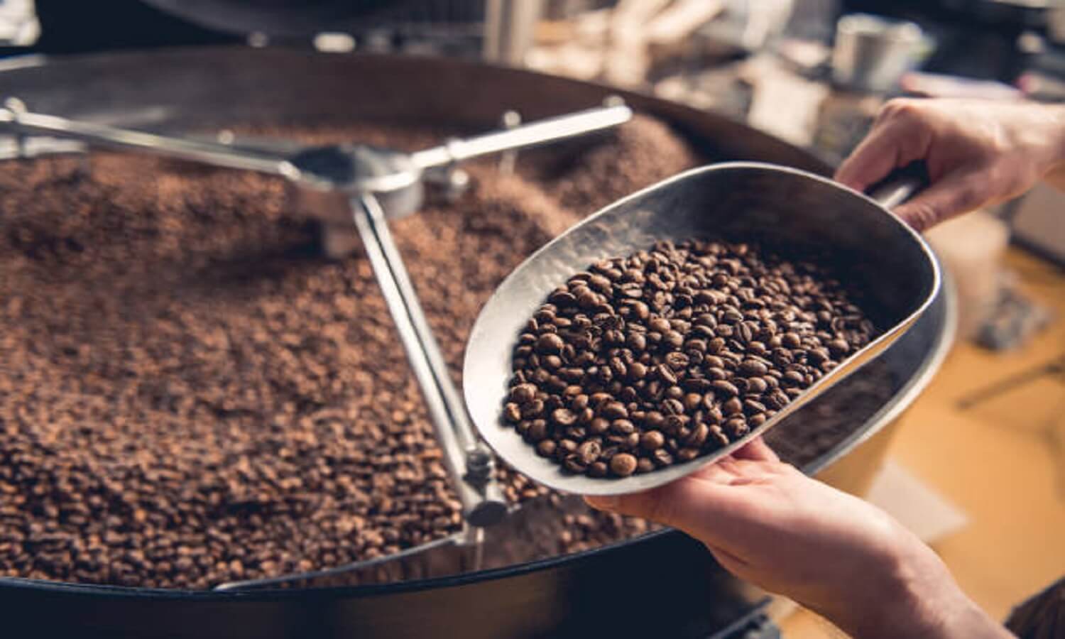 Baja internacional en precio del café afecta a productores criollos