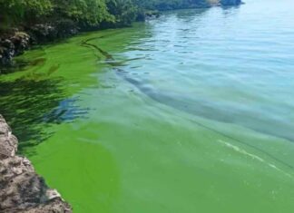 ¿Cuánto material plástico se ha retirado del Lago de Maracaibo?