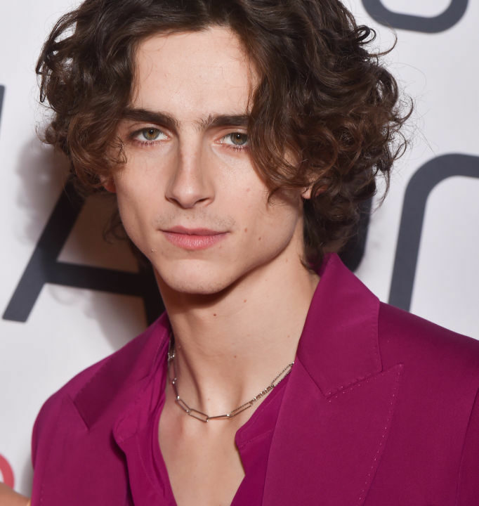 Timothée Chalamet se transforma en Bob Dylan para su nuevo proyecto (+Video)