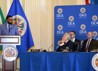 En disputa por El Esequibo: Esto pidió Guyana a la OEA