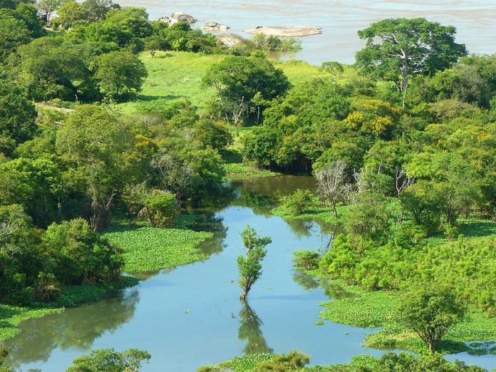 Este es el plan de Venezuela para generar conciencia ambiental 