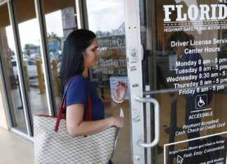 Los nuevos requisitos para sacar licencia de conducir y ID en Florida (+Documentos)