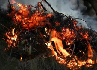 Imagen de una Virgen quedó intacta tras voraz incendio en Colombia