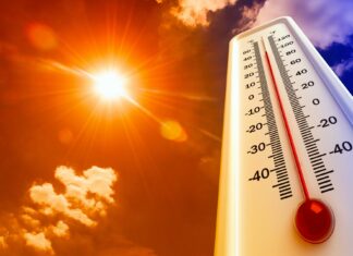 EEUU | Inician investigaciones tras muertes por altas temperaturas