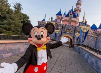 EEUU | ¿Puedo trabajar en Disneyland teniendo TPS?