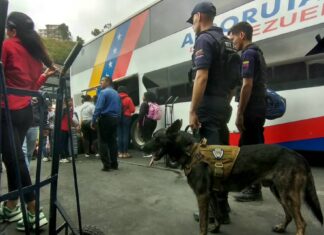 Caracas| Supervisan dispositivo de Carnavales desde el Terminal La Bandera