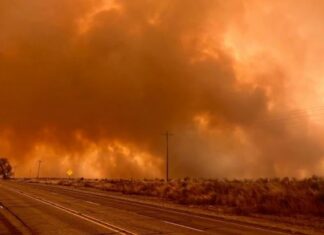 Evacuan varias ciudades de Texas por un incendio forestal fuera de control